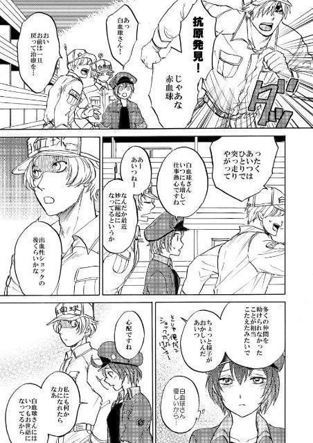 はたらく細胞同人誌「ぼくら発展途上細胞」《白血球×赤血球》 < アニメ/コミック/キャラクター  はたらく細胞同人誌「ぼくら発展途上細胞」《白血球×赤血球》 < アニメ/コミック/キャラクターの