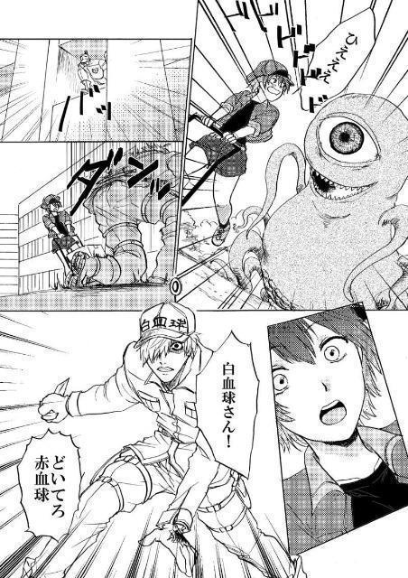 はたらく細胞同人誌「ぼくら発展途上細胞」《白血球×赤血球》 < アニメ/コミック/キャラクター  はたらく細胞同人誌「ぼくら発展途上細胞」《白血球×赤血球》 < アニメ/コミック/キャラクターの