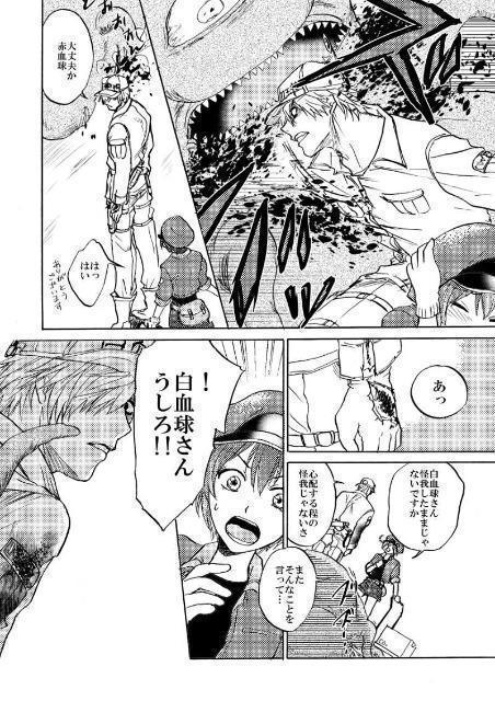 はたらく細胞同人誌「ぼくら発展途上細胞」《白血球×赤血球》 < アニメ/コミック/キャラクター  はたらく細胞同人誌「ぼくら発展途上細胞」《白血球×赤血球》 < アニメ/コミック/キャラクターの