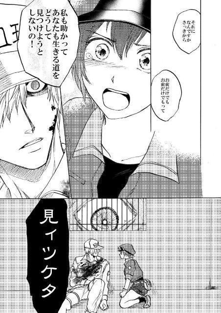 はたらく細胞同人誌「ぼくら発展途上細胞」《白血球×赤血球》 < アニメ/コミック/キャラクター  はたらく細胞同人誌「ぼくら発展途上細胞」《白血球×赤血球》 < アニメ/コミック/キャラクターの