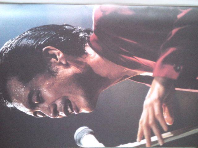 ★矢沢永吉1991ツアーパンフレットです☆ < タレントグッズ  ★矢沢永吉1991ツアーパンフレットです☆  < タレントグッズの