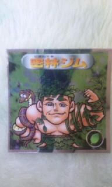 密林ジム < ホビー  密林ジム  < ホビーの