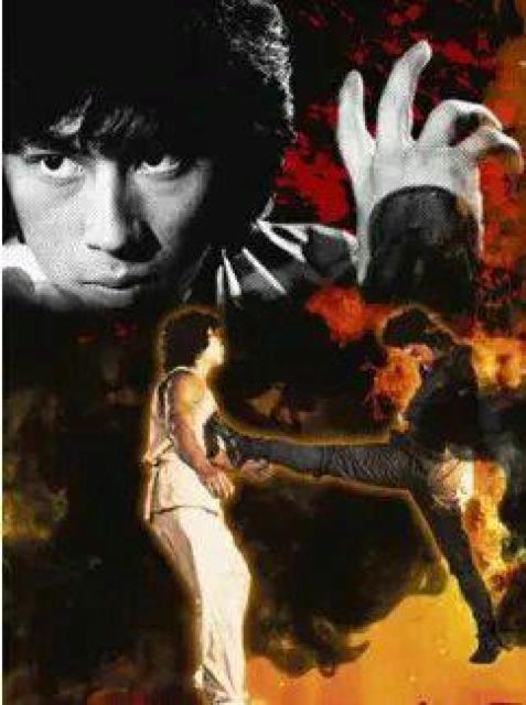 ☆VCD-龍之忍者☆釈迦忍者 ☆眞田廣之 李元霸 < CD/DVD/ビデオ  ☆VCD-龍之忍者☆釈迦忍者 ☆眞田廣之 李元霸 < CD/DVD/ビデオの