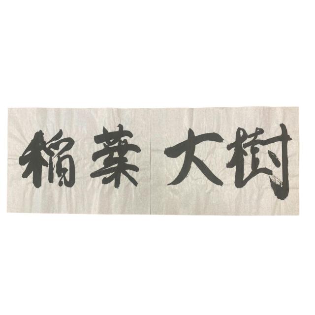 #73 ��t ������R�[�` �K�������i�{�l���M�j  �� ���W���[/�X�|�[�c�� 