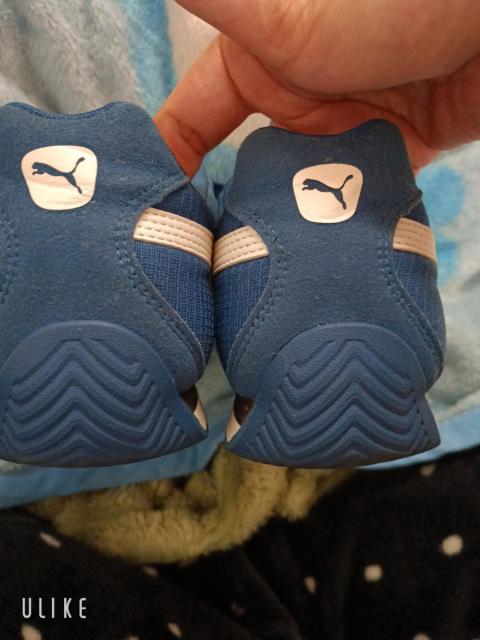 PUMA �v�[�} �X�j�[�J�[ �J�W���A���V���[�Y �����j���O�V���[�Y ���F �u���[�n24�A0�p �� �u�����h�� 