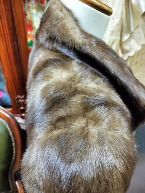 �є�SAGA�~���N�Z�~�����O�R�[�g �� �����t�@�b�V������ 