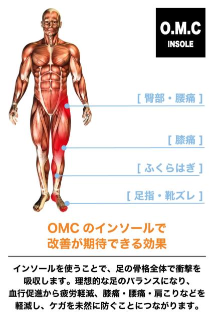 C\[ lԍHwɊÂՌz  jt@bV 