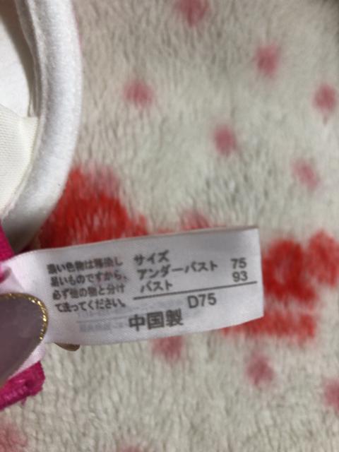 新品未使用 アブソール ブラ&ショーツセット < 女性ファッション  新品未使用 アブソール ブラ&ショーツセット < 女性ファッションの