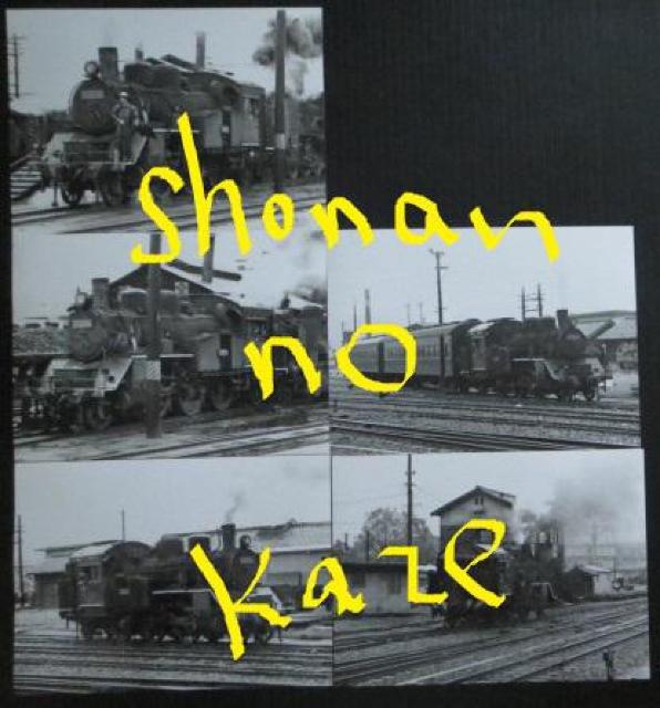 ubPQTPv̋MdȃLrlTCY̎ʐ^TłB   zr[ 