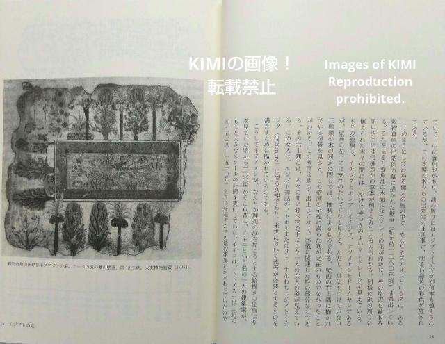 希少 ファラオの秘薬 古代エジプト植物誌 単行本 リズ マニカ (著), Lise Manniche (原名) 八坂書房 エジプト < 本/雑誌  希少 ファラオの秘薬 古代エジプト植物誌 単行本 リズ マニカ (著), Lise Manniche (原名) 八坂書房 エジプト < 本/雑誌の