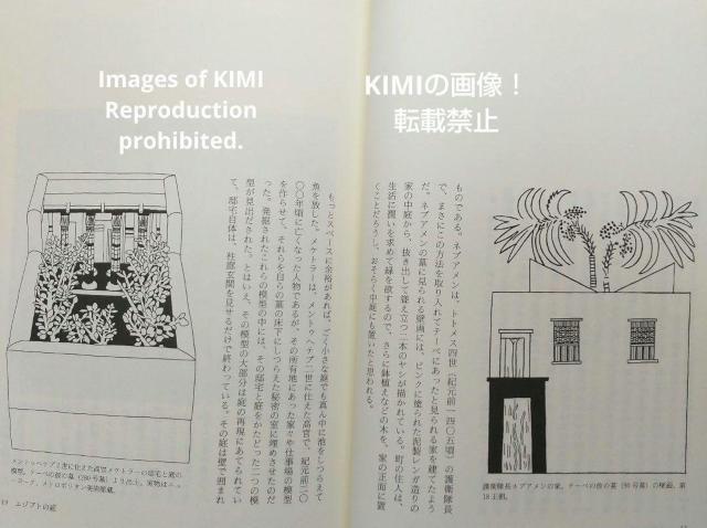 希少 ファラオの秘薬 古代エジプト植物誌 単行本 リズ マニカ (著), Lise Manniche (原名) 八坂書房 エジプト < 本/雑誌  希少 ファラオの秘薬 古代エジプト植物誌 単行本 リズ マニカ (著), Lise Manniche (原名) 八坂書房 エジプト < 本/雑誌の