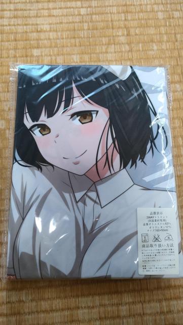 嫌な顔されながらおパンツ見せてもらいたい 抱き枕カバー ナース アニマルマシーン 40原 < アニメ/コミック/キャラクター  嫌な顔されながらおパンツ見せてもらいたい 抱き枕カバー ナース アニマルマシーン 40原  < アニメ/コミック/キャラクターの