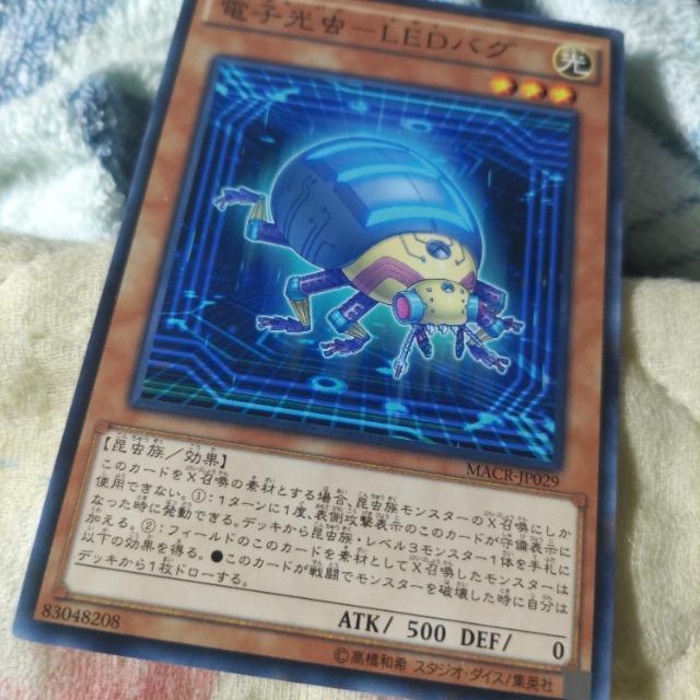 遊戯王 電子光虫 < トレーディングカード  遊戯王 電子光虫  < トレーディングカードの
