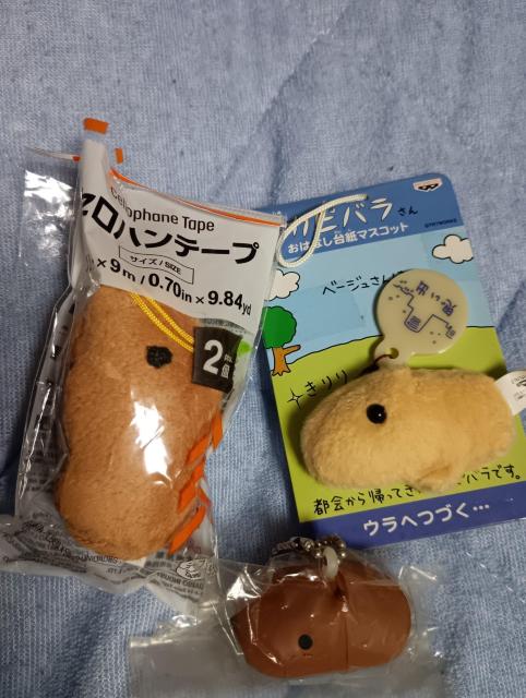 JsoZbg   Aj/R~bN/LN^[ 