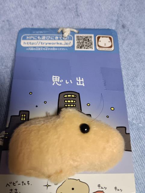 JsoZbg  Aj/R~bN/LN^[ 