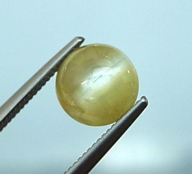 �}�_�K�X�J���Y�������h�̃N���\�x�����E�L���b�c�A�C��3708  �� �����A�N�Z�T���[/���v�� 