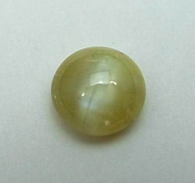 �}�_�K�X�J���Y�������h�̃N���\�x�����E�L���b�c�A�C��3708 �� �����A�N�Z�T���[/���v�� 