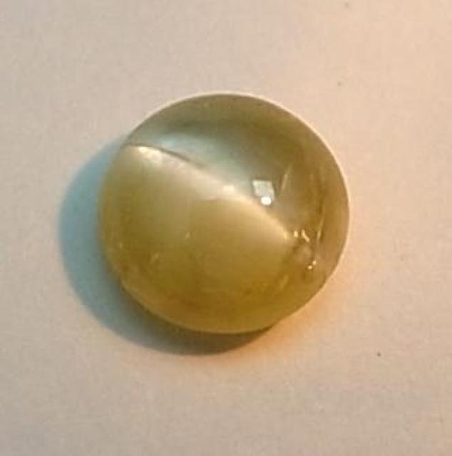 �}�_�K�X�J���Y�������h�̃N���\�x�����E�L���b�c�A�C��3708 �� �����A�N�Z�T���[/���v�� 