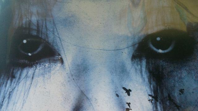 ꂽyn/SEہ݁I   CD/DVD/rfI 