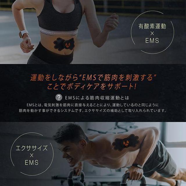 pbh  \邾 ؓ^ [h6 x10iK EGXg r r w  Sg GNTTCY  wX/r[eB[ 