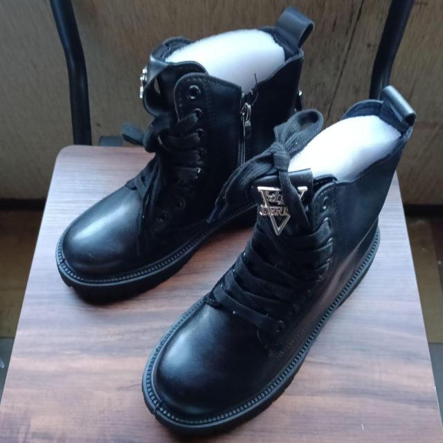 Vi 22cm fB[X u[c ubN  V[Y V[gu[c   t@bV 