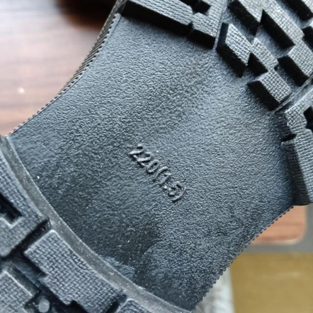 Vi 22cm fB[X u[c ubN  V[Y V[gu[c  t@bV 