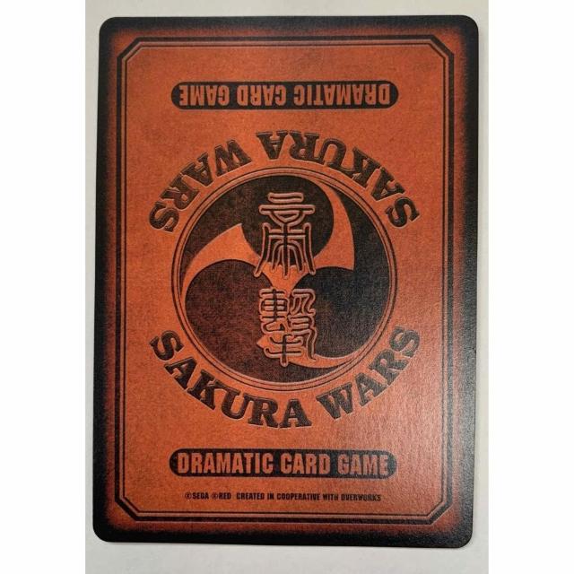 yzTNh}`bNJ[hQ[ ꖋ ̓_C No.013-1  g[fBOJ[h 