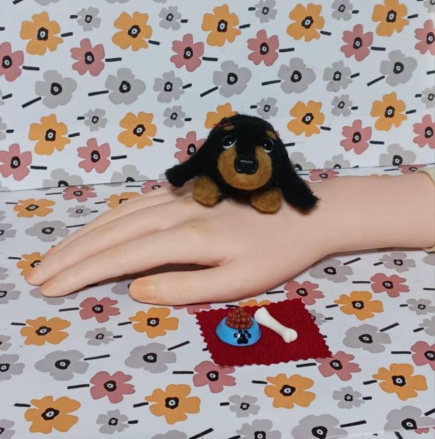 �r�уt�F���g��ڌ����̃_�b�N�X�@�a�M�E�z�l�Z�b�g �� �y�b�g/��|/���|�� 