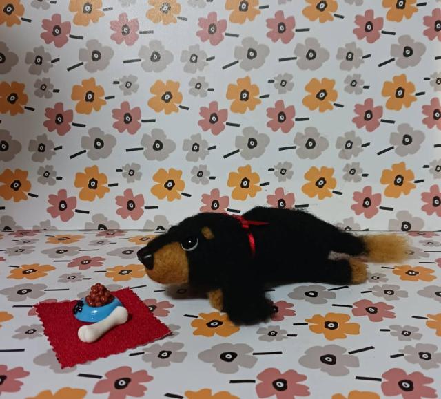 �r�уt�F���g��ڌ����̃_�b�N�X�@�a�M�E�z�l�Z�b�g �� �y�b�g/��|/���|�� 