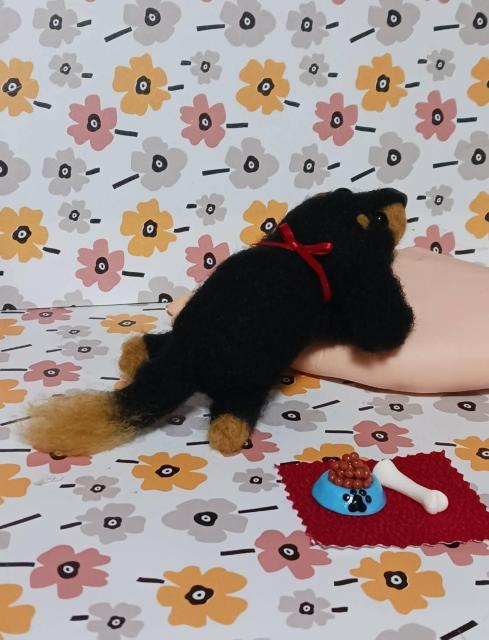 �r�уt�F���g��ڌ����̃_�b�N�X�@�a�M�E�z�l�Z�b�g �� �y�b�g/��|/���|�� 