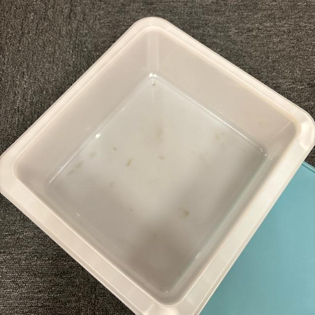 即決 Daiwa ダイワ ケース 6.1L < レジャー/スポーツ 即決 Daiwa ダイワ ケース 6.1L < レジャー/スポーツの