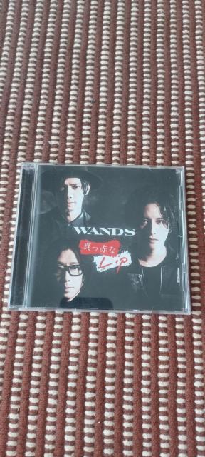 WANDSu^ԂLip ʏՁv   CD/DVD/rfI 