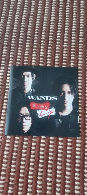 WANDSu^ԂLip ʏՁv  CD/DVD/rfI 