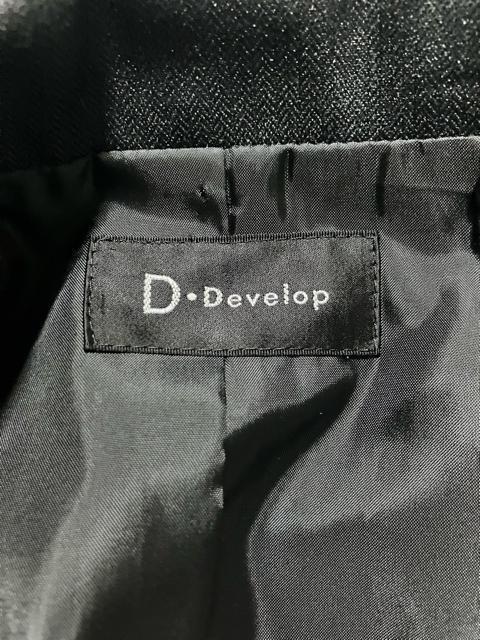 DEDevelop fB[X e[[h WPbg tH[} ̂  t@bV 