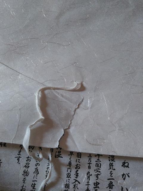 しぼり お着物 < 女性ファッション しぼり お着物 < 女性ファッションの