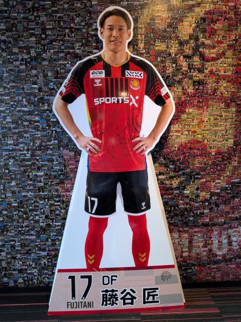 #17 ���J ���I�� ���g��p�l���i���M�T�C������j  �� ���W���[/�X�|�[�c�� 