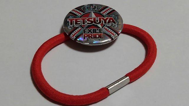 EXILE TOUR 2013 EXILE PRIDE oCu[X S EXILE TETSUYA  ^gObY 