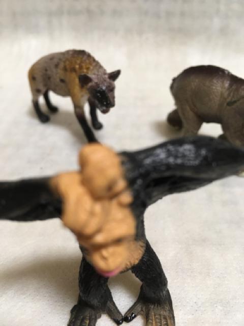 ◆動物フィギュア2 < ホビー  ◆動物フィギュア2 < ホビーの