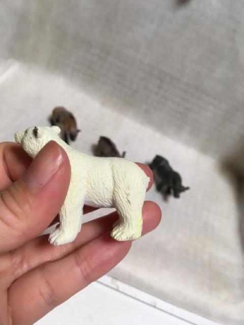 ◆動物フィギュア2 < ホビー  ◆動物フィギュア2 < ホビーの