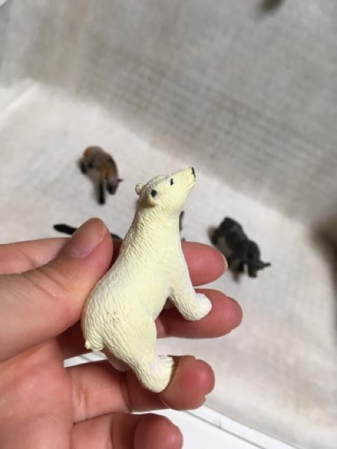 ◆動物フィギュア2 < ホビー  ◆動物フィギュア2 < ホビーの