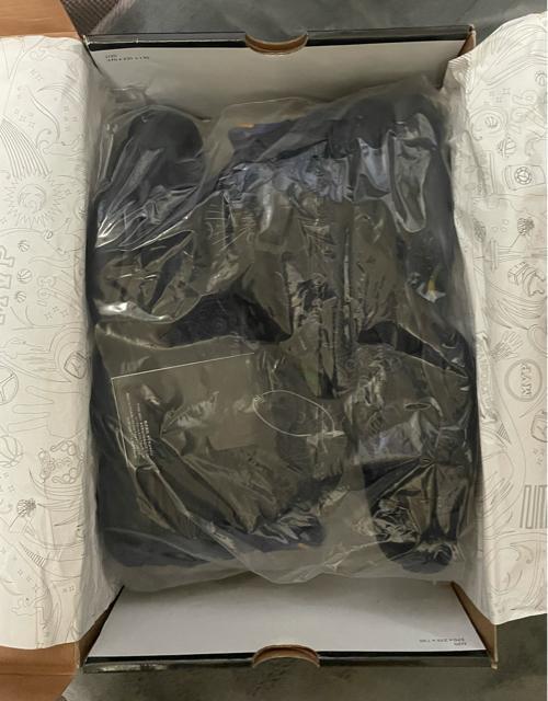 i@iCL NIKE GAW[_ 6 AIR JORDAN 6 RINGS   ubN _[NJ[L US13 ŏIl  uh 
