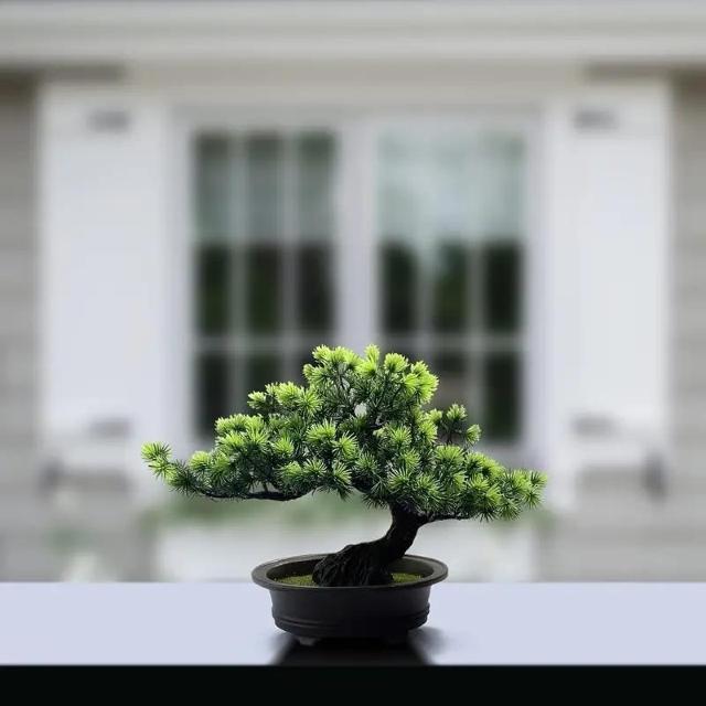 i990~lHAlH~́AƂ̑AoX[̖{IT_Ƃ̑̕ɎgpA24.13cm