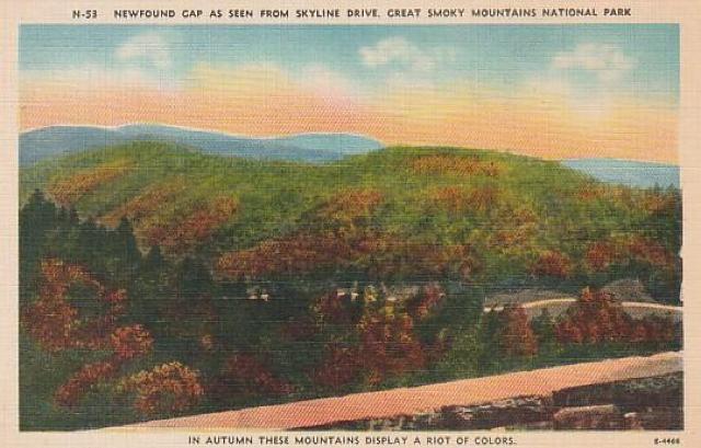 古き良き時代のアメリカ ポストカード 3種【E-1】 < ホビー 古き良き時代のアメリカ ポストカード 3種【E-1】 < ホビーの