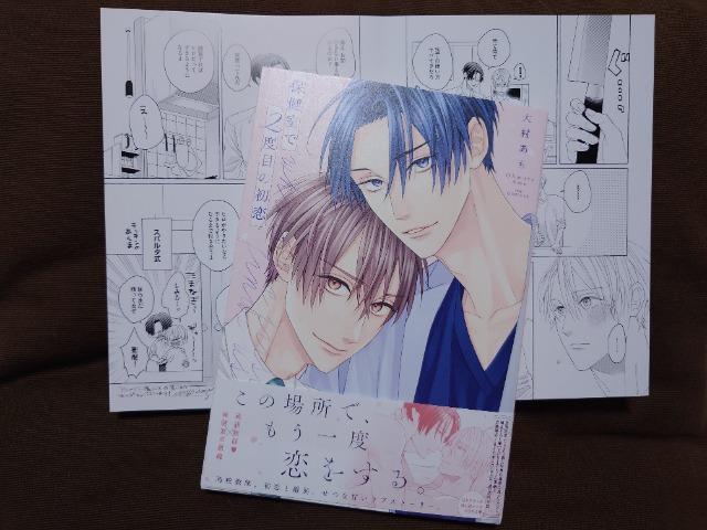 BL[tbgtyی2xڂ̏z呺 