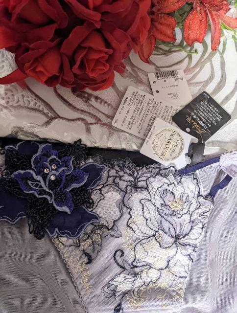 ワコール/salute/サルート/店舗限定/39G/アテナ/ノーマルショーツ/スタンダードショーツ/M/A/PTJ739/GY < 女性ファッション ワコール/salute/サルート/店舗限定/39G/アテナ/ノーマルショーツ/スタンダードショーツ/M/A/PTJ739/GY < 女性ファッションの