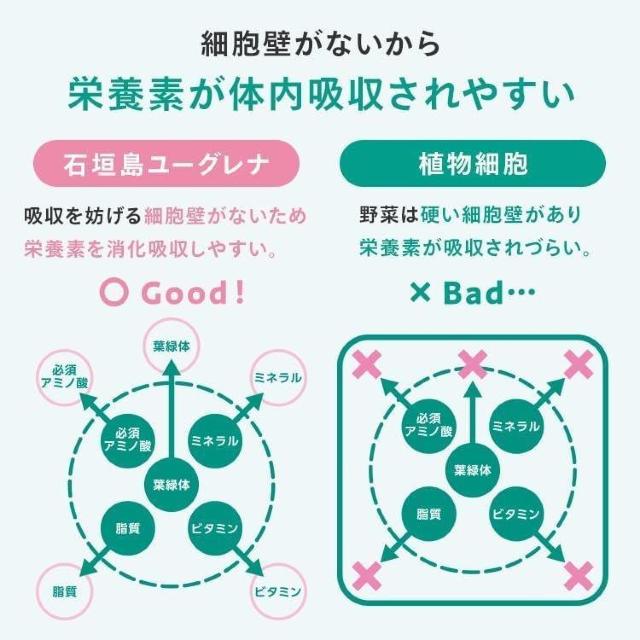 ���炾�Ƀ��[�O���i �O���[���p�E�_�[ 30�{�� �~2�� �� �w���X/�r���[�e�B�[�� 