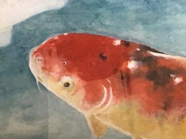池の鯉の油絵 < ホビー  池の鯉の油絵 < ホビーの