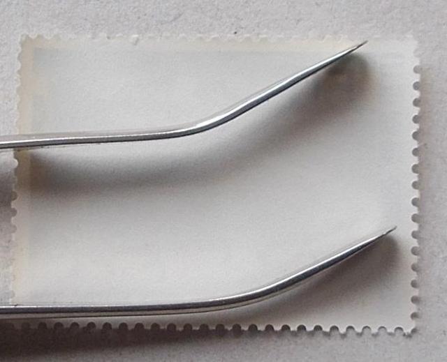 ygpz1966N@ەʏTԁ@c։̗@P  zr[ 