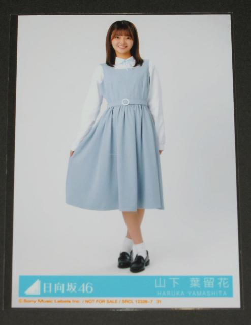 ������46�@���Ɛ����x��midnight�@���ʐ^�P���@�R���t����  �� �^�����g�O�b�Y�� 