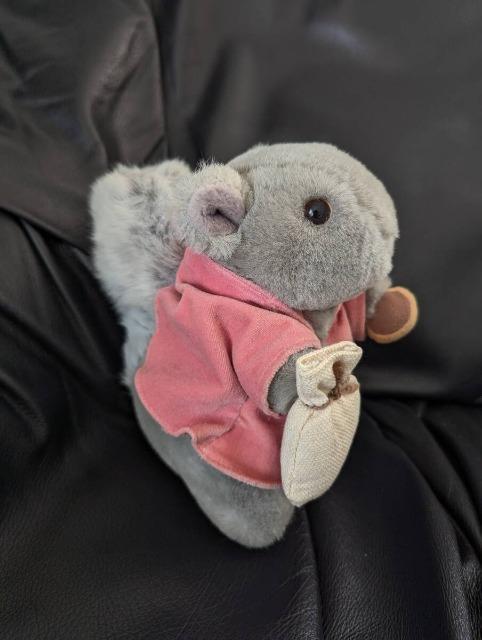 PETER RABBITs[^[rbgeB~[/肷/X/ʂ݁uh eden/Gf   